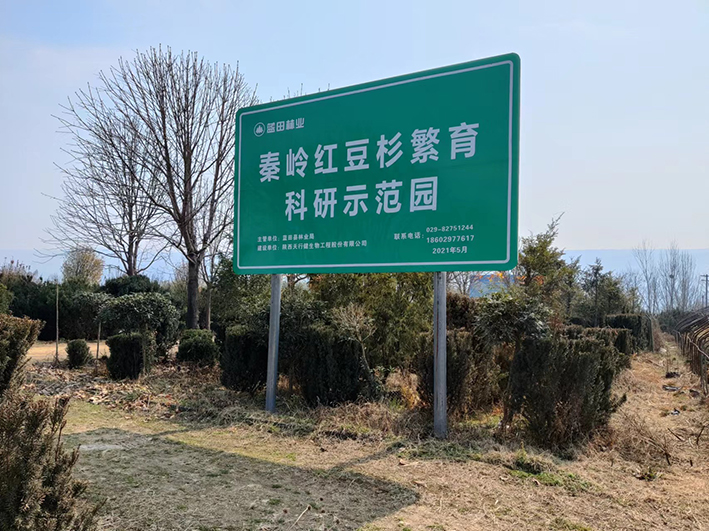 �؎X�t��ɼʾ���^����